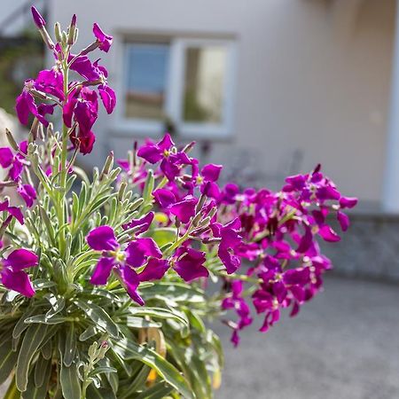 Apartment Ana Polje  Εξωτερικό φωτογραφία